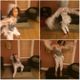 The writer’s daughter Emmy in her “spirit” costume
Aliya S. King
